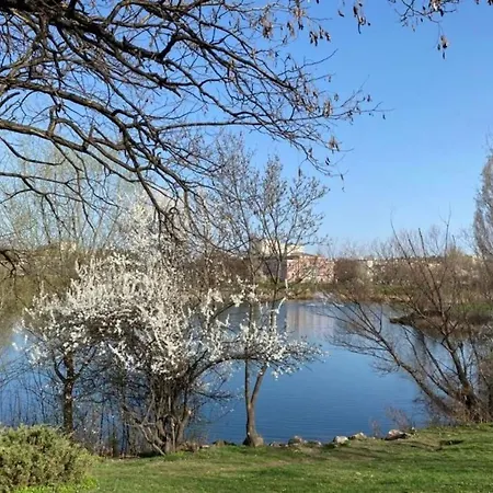 Sunny Maria Near Airport, Druzhba District 索菲亞
